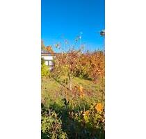 Kleingarten Kga Goldwiese - 1.400,00 EUR Kaltmiete, ca.  0,00 m² in Papendorf (PLZ: 18059)