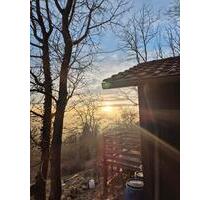 Gartengrundstück zu verpachten - 125,00 EUR Kaltmiete, ca.  0,00 m² in Sindelfingen (PLZ: 71069) Darmsheim