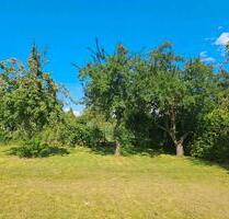 Großer Garten in 23936 Grevesmühlen - Tarp