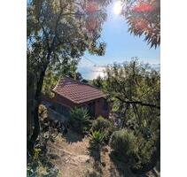 Ferienhaus La Palma Kanaren , Las tricias - Arnstorf