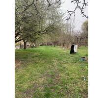 Großes Gartengrundstück in Arnstadt zu vermieten
