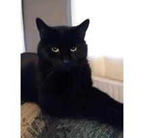 Weihnachts Wunsch für 3 liebe Menschen - Zittau