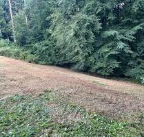 Grünland, Waldrand Grundstück in Großbundenbach - Bechhofen