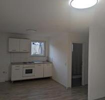 EG Wohnung in Lauffen einzimmer - Lauffen am Neckar