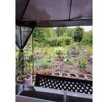 kleingarten - 800,00 EUR Kaltmiete, ca.  0,00 m² in Clausthal-Zellerfeld (PLZ: 38678)