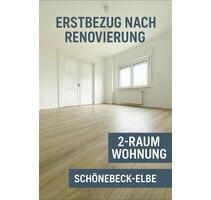 Frisch renovierte 2 Raum Wohnung - Einziehen & Wohlfühlen - Schönebeck (Elbe)