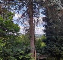 Bauplatz bzw. Gartengrundstück in Schwarzenbach - ca. 760 qm - Burgthann