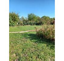 Pachtgarten 618 m² in Halle-Trotha - Halle (Saale) Frohe Zukunft