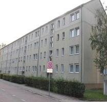 * Singlewohnung * bezugsbereit * - Bernburg (Saale)