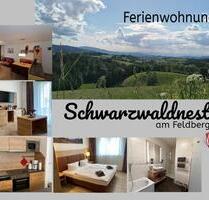 Ferienwohnung Feldberg Schwarzwald Nähe Titisee - Feldberg (Schwarzwald)