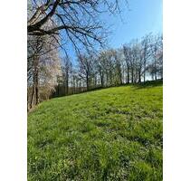 Freizeitgrundstück mit Panoramablick (in Widdern) zu verpachten