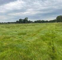 3 Grünlandflächen zu 3€m² in Ihlow (Ostfriesland)