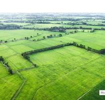 Ohne Makler Land- Forstwirtschaft in 76857 Waldrohrbach - Albersweiler