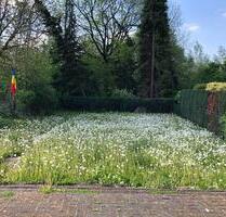Haus - Platzwunder für Großfamilie oder Wohnen mit Büro - Mönchengladbach Süd
