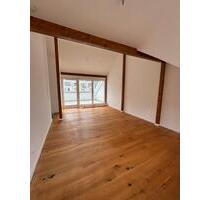 Stilvolles Altbau-DG-Loft mit Wintergarten - Ludwigshafen am Rhein Ludwigshafen-Hemshof