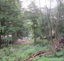 KS-Wilhelmshöhe, Grundstück für Gartenbau zu verpachten - Kassel Bad Wilhelmshöhe