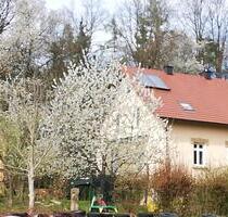 Ferienhaus für 8 Personen Urlaub Fewo Bayern Oberpfalz - Bruck in der Oberpfalz