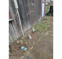 Kleingarten - 1.700,00 EUR Kaltmiete, ca.  0,00 m² in Rostock (PLZ: 18146) Alt Bartelsdorf