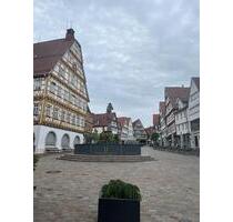 Exklusive 2,5-Raum-Wohnung mit Balkon und EBK in Leonberg
