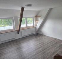 Schöne Wohnung unter Reet fußläufig zur Schlei - Brodersby-Goltoft