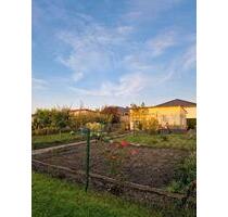 Kleingarten abzugeben - 550,00 EUR Kaltmiete, ca.  0,00 m² in Stralsund (PLZ: 18437) Langendorfer Berg