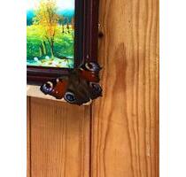 Haus mit Scheune und Garten zu verkaufen - Rochlitz