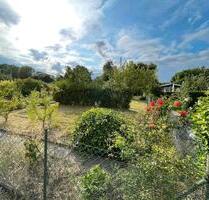Kleingarten 310m² zur Pacht - ab sofort - Braunschweig Südstadt- Rautheim- Mascherode