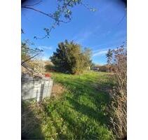 Garten zur Pacht – im Naumburger Gartenverein „Erholung e.V.“ - Naumburg (Saale)