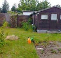 Kleingarten abzugeben - 1.000,00 EUR Kaltmiete, ca.  0,00 m² in Leipzig (PLZ: 04316) Ost