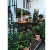 Reden ist Silber, kaufen ist GOLDEinbauküche Tel: 015207172504 - Ludwigshafen am Rhein Ludwigshafen-Hemshof