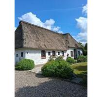 Idyllisches Landhaus mit Einliegerwohnung in Alleinlage - Tetenhusen