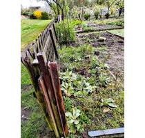Garten Pachtgarten - 4.000,00 EUR Kaltmiete, ca.  0,00 m² in Eberswalde (PLZ: 16225)