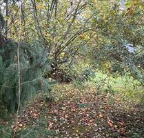 Biete idyllischen Garten auf privat Gelände. - Leipzig Südost