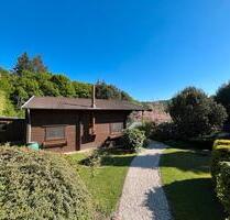 Ferienhaus Holzhaus mit großem Grundstück in ruhiger Lage - Wittlich