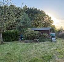 Garten Freizeit Fläche Schrebergarten - Bielefeld Mitte