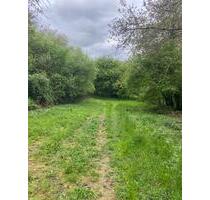 Garten in Essenheim zu vermieten - Mainz Gonsenheim