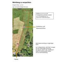 Weinberg zu verpachten (ca. 12,5 ar) auf Weinbergterassen - Stuttgart Luginsland