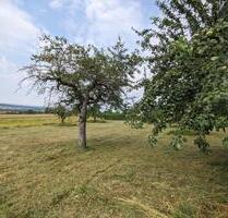 Ab 2026: Grundstück in Bietigheim (Lug) Stückle Baumwiese Wiese - Bietigheim-Bissingen