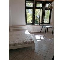 TOP Lage , möbliertes Appartement - Mannheim Innenstadt