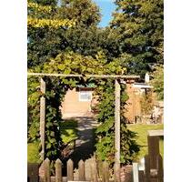 Kleingarten - 4.500,00 EUR Kaltmiete, ca.  0,00 m² in Oldenburg (PLZ: 26133) Kreyenbrück