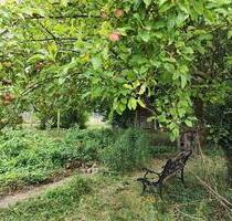 SchrebergartenNaturgarten! Bitte aufmerksam lesen! - Emden Rysumer Landstraße