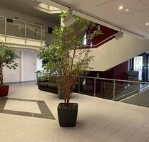 Büroraum in Leonberg-Höfingen - 17,00 EUR Kaltmiete, ca.  17,00 m² in Leonberg (PLZ: 71229)