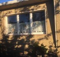 Gepflegtes Kleingartengrundstück mit Laube abzugeben - Elsterwerda