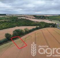 Kompakte Ackerfläche für Jedermann bei Halle (Saale) - ca. 1330 m² - Teutschenthal