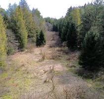 Landwirtschaftliche Fläche (Wald und Wiese) ca. 8,081 m² - Eggstätt