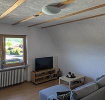 Helle Dachgeschosswohnung in Pluwig