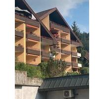Geräumige Zweizimmerwohnung mit Blick auf Burg Liebenzell - Bad Liebenzell