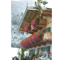 Sonnige Dachgeschosswohnung, Freizeitwohnsitz in Kitzbühel Tirol - Berg