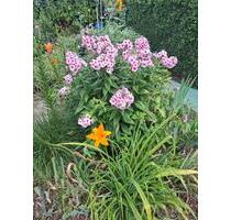 Bayern Weilheim und Umgebung - 1.200,00&nbsp;EUR Kaltmiete, ca.&nbsp; 50,00&nbsp;m&sup2; in Weilheim in Oberbayern (PLZ: 82362)