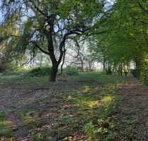 Grundstück*Park*Stellplatz*Freifläche*Wiese*Tiny-House* - Murchin